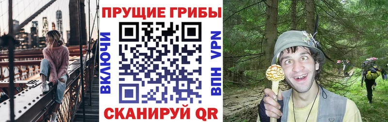 Псилоцибиновые грибы Psilocybe  Когалым 