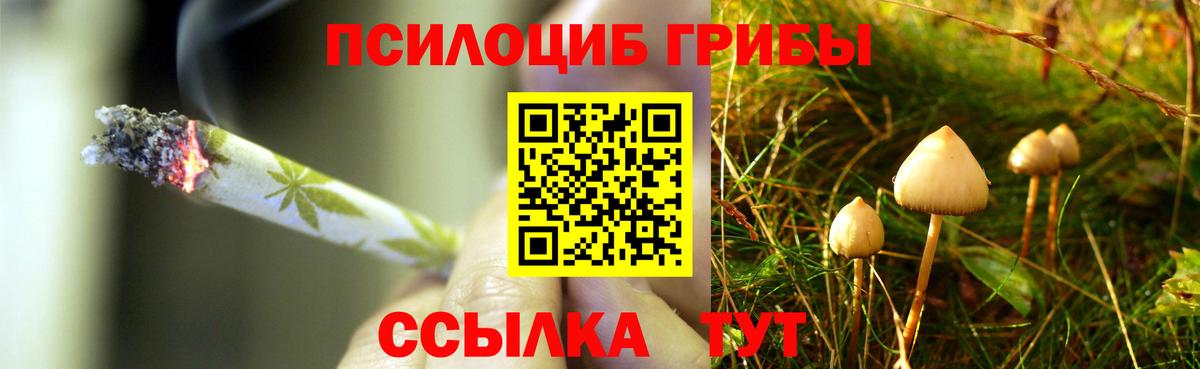Когалым  Галлюциногенные грибы прущие грибы  Вход с VPN 